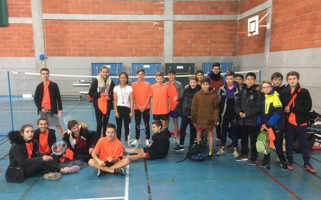 Compétition UGSEL : 1e participation du collège en badminton