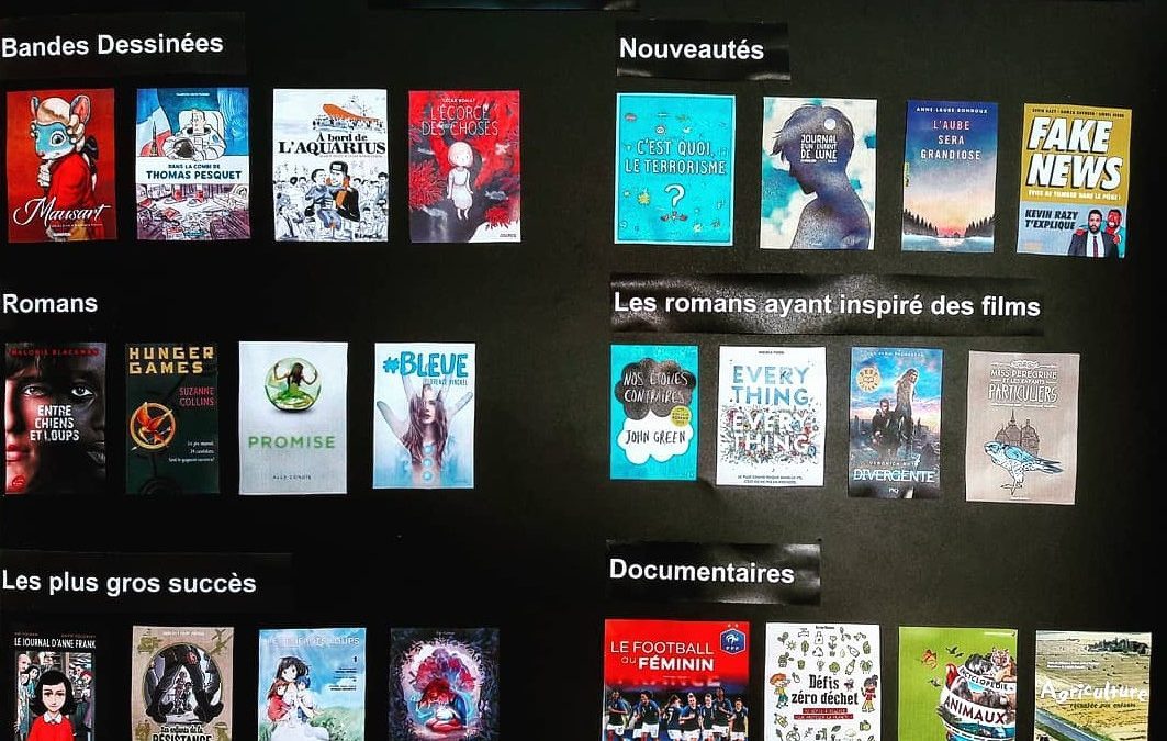 BOOKFLIX : sélection du mois de décembre, à venir emprunter au CDI