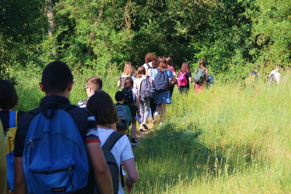 Pastorale : Sorties Caté pour les 6e et les 4e